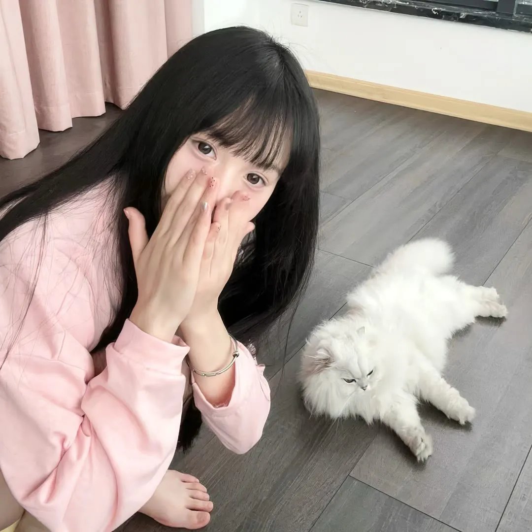 星蝶公主第一季